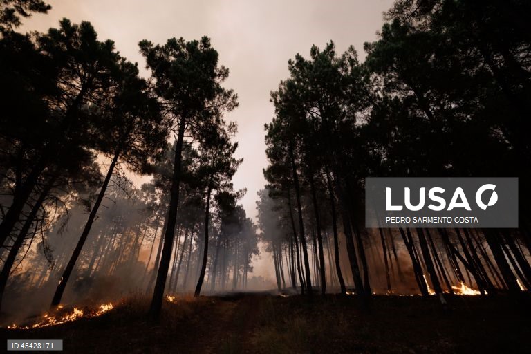 🚨 GOVERNO CRIA COMANDO ESPECIAL EM LEIRIA PARA TRAVAR RISCO DE INCÊNDIOS APÓS TEMPESTADES 🚨