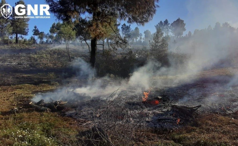 GNR detém 59 pessoas por crimes de incêndio rural desde o início do ano