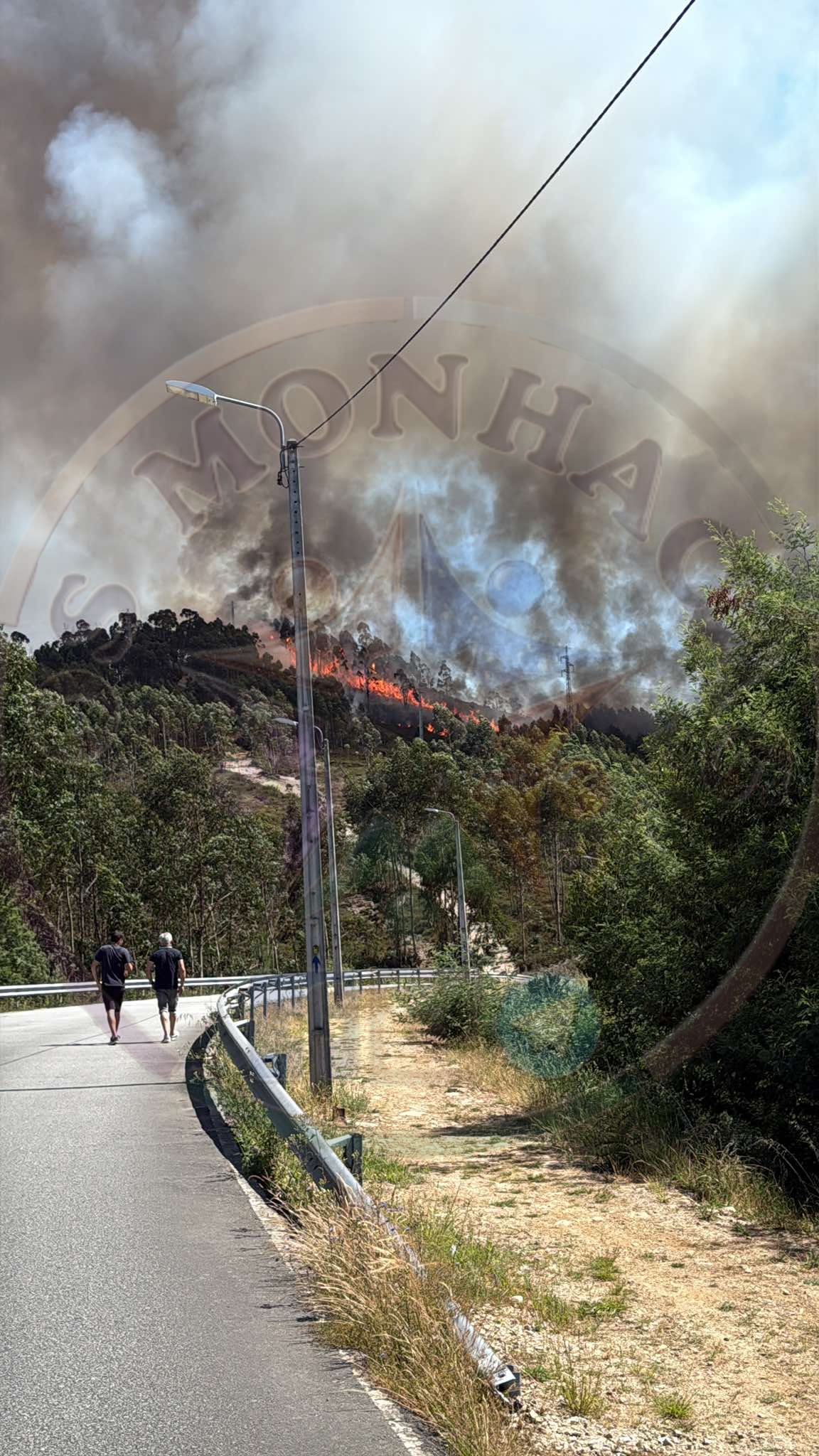 INCÊNDIO EM ZONA DE MATO JUNTO À AUTOESTRADA A41 EM ALFENA MOBILIZA MEIOS AÉREOS E TERRESTRES