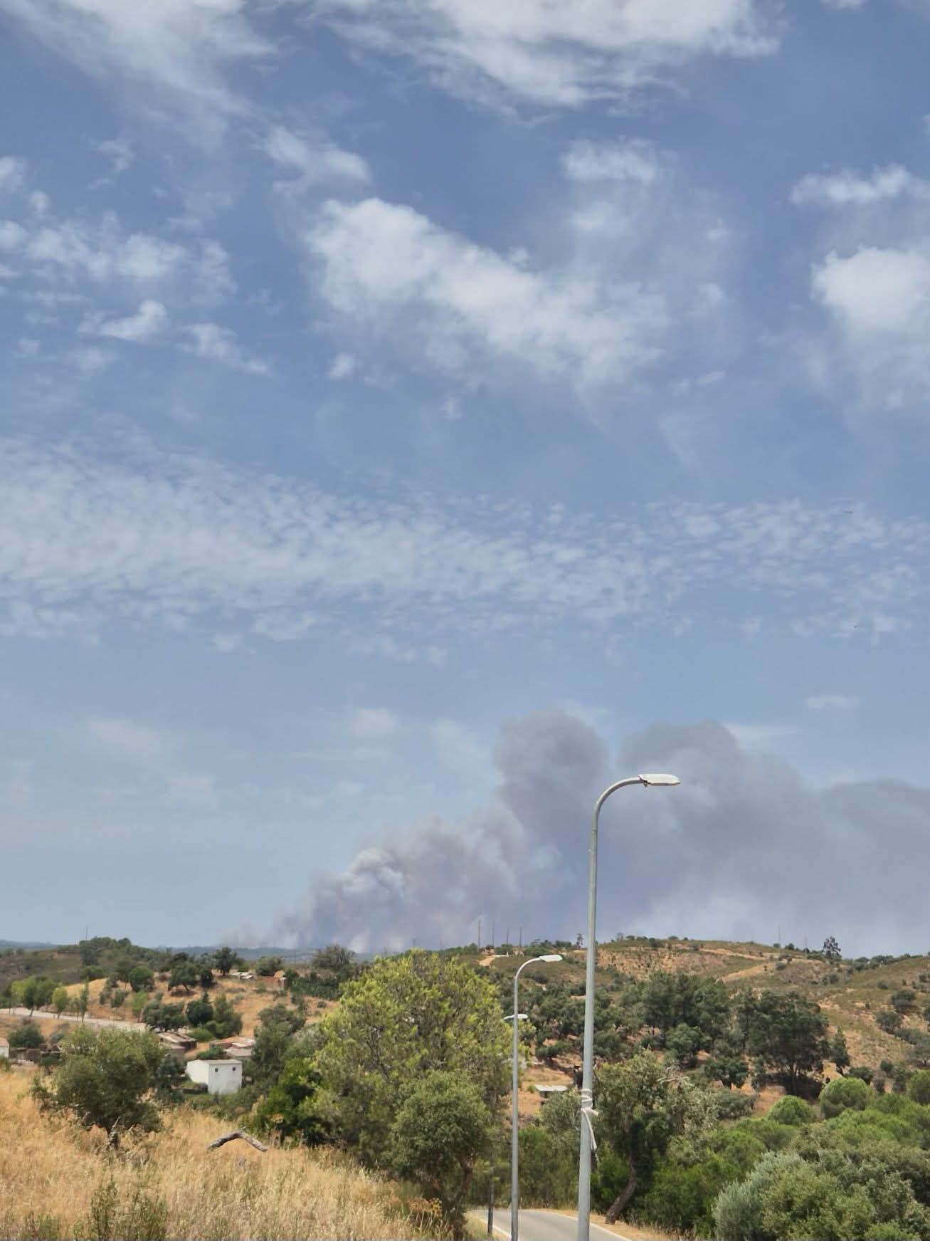 Incêndio no Ameixial mobiliza mais de 160 operacionais e corta a EN2 em Loulé