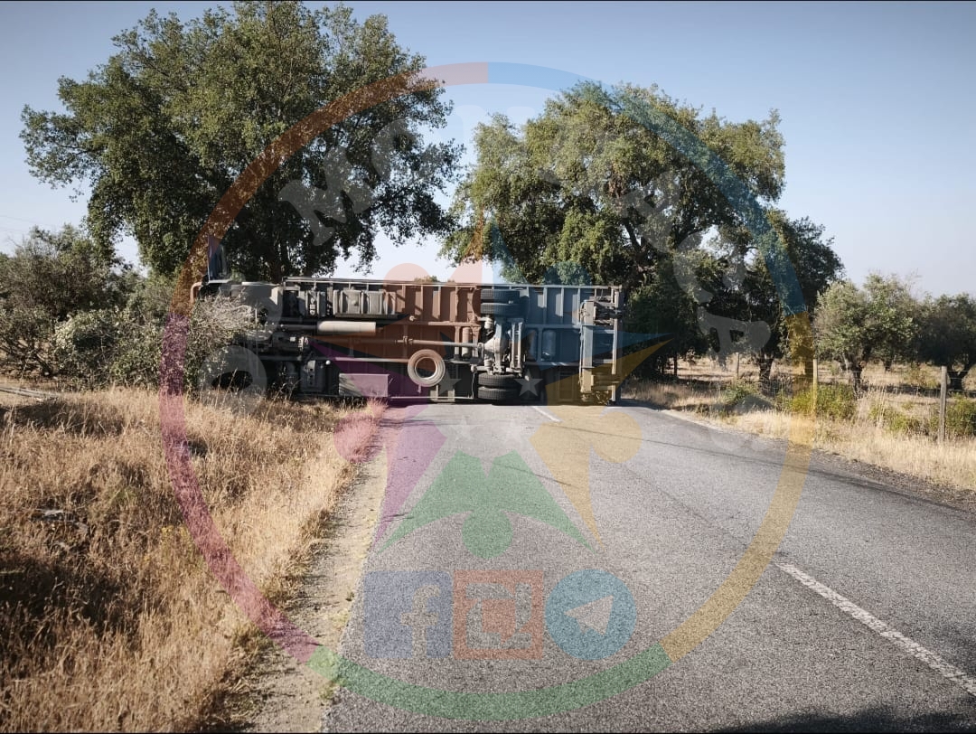 Despiste de Camião Corta EN257 em Alvito nos Dois Sentidos