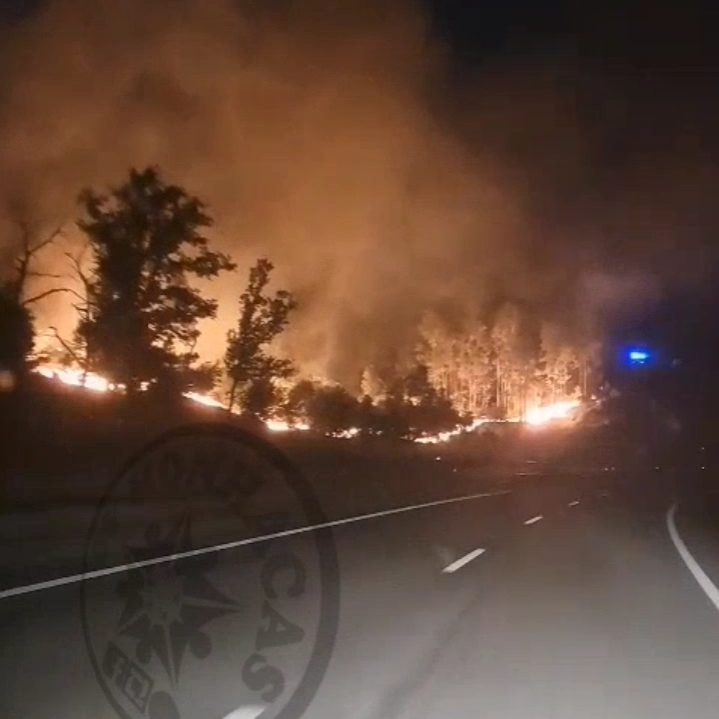 Incêndio em Vouzela Deixa Dois Feridos Graves
