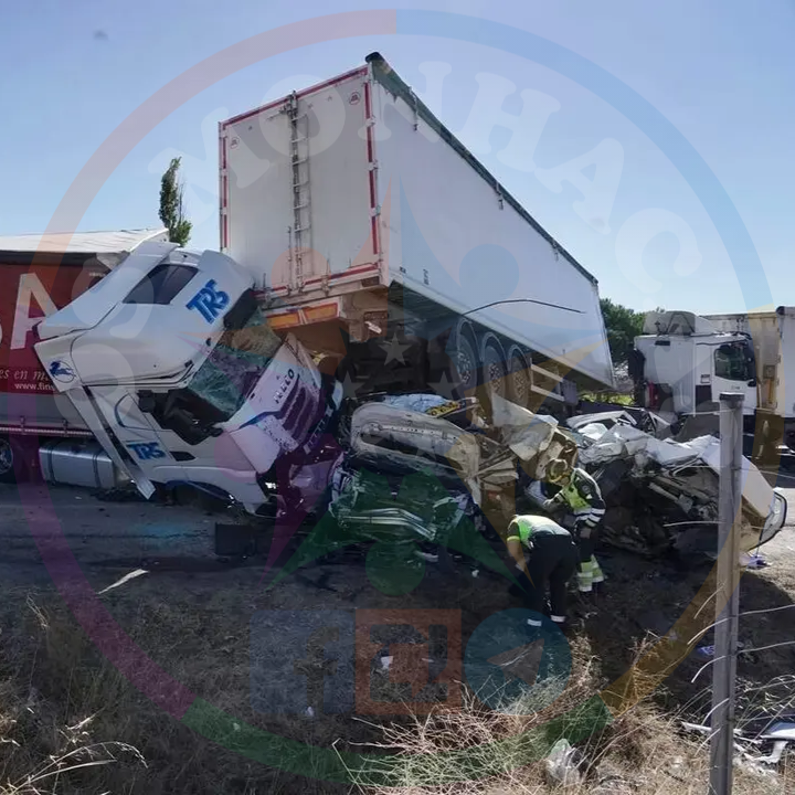 Tragédia na A-62 em Espanha: Acidente Grave Envolvendo Três Camiões e Dois Carros Faz Um Morto e Vários Feridos
