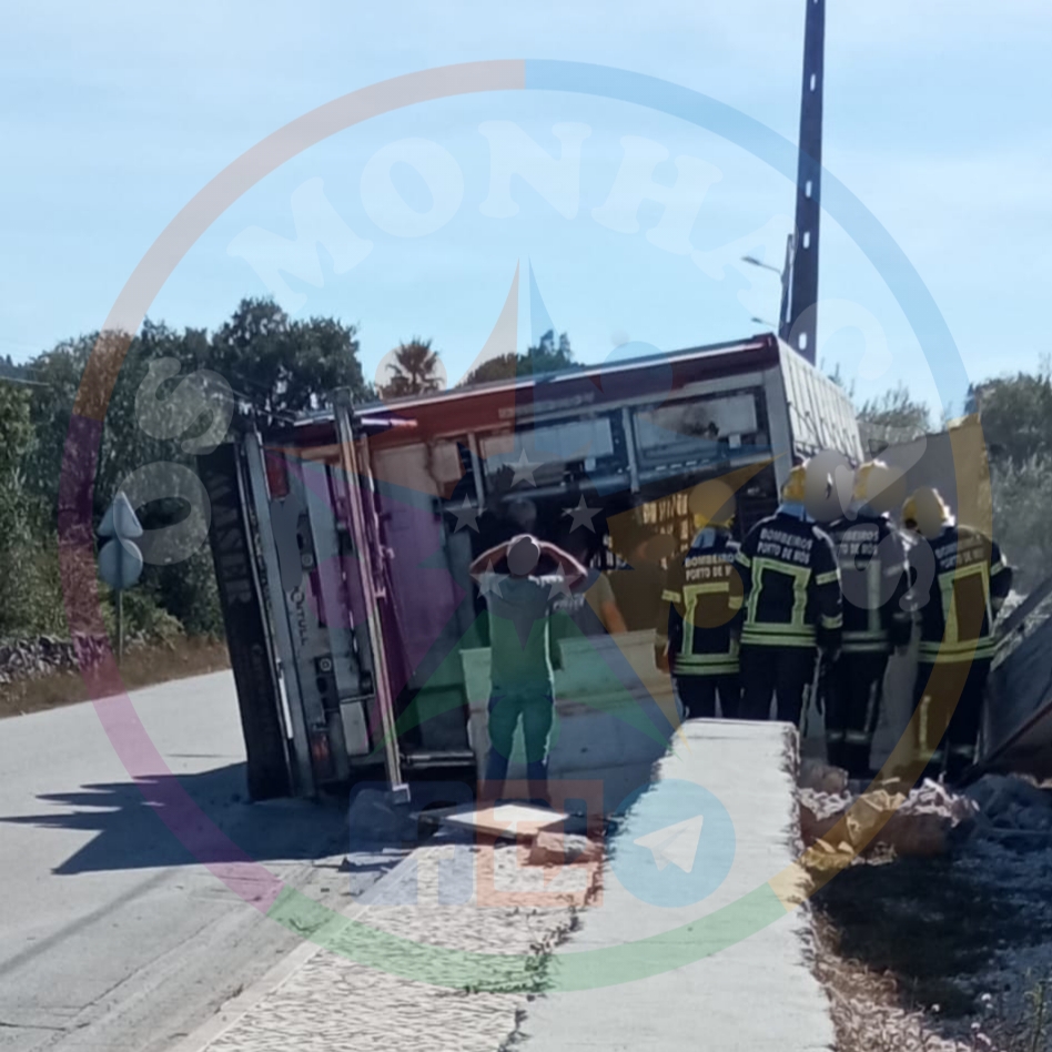 Despiste de pesado provoca a morte a cerca de quatro dezenas de suínos em Mendiga, Porto de Mós